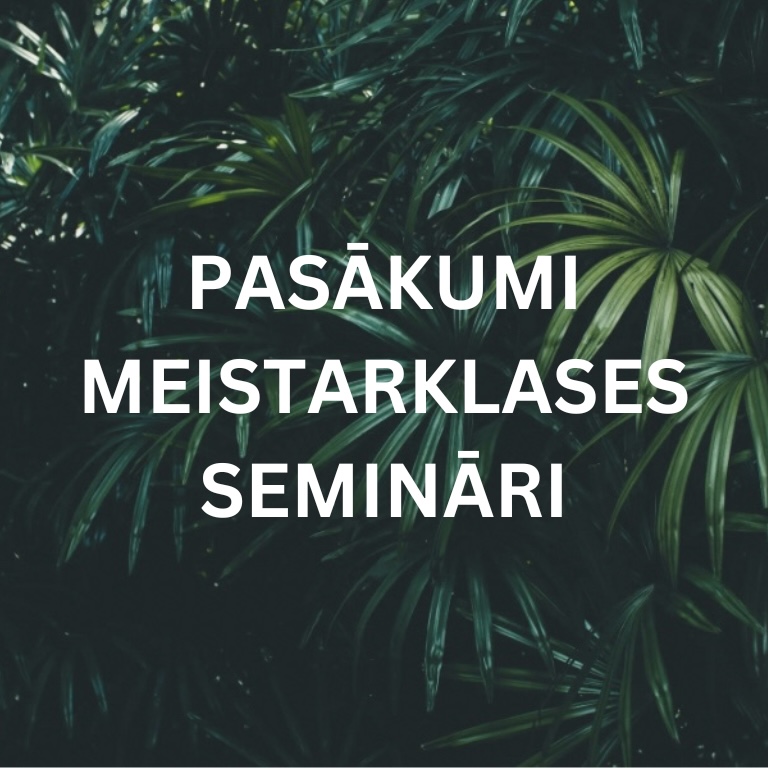 Pasākumi meistarklass seminari